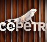 Ecopetrol destina $5.000 millones para atender a damnificados por el terremoto