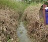 Canal de Riego Buena Esperanza