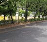 Los Patios Cementerios