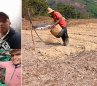 Son muy pocos los productores que se adelantan a las pérdidas y se soportan en un seguro agropecuario. / Fotos cortesía