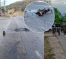 Los presuntos delincuentes se enfrentaron al Grupo de Caballería Liviana N.° 5. / Foto La Opinión