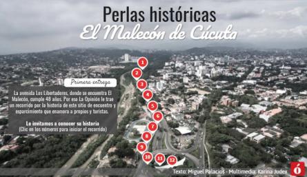 La avenida Los Libertadores cumple 48 años. / Foto: La Opinión