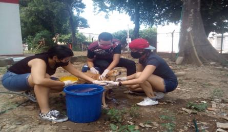 Este voluntariado busca que las personas tomen conciencia ante la responsabilidad de los animales que conviven en los entornos cercanos./Foto: Cortesía.