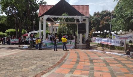En el parque Colón se reunieron las organizaciones sociales en honor al primer mes del paro nacional./Foto: Paola Ríos - La Opinión