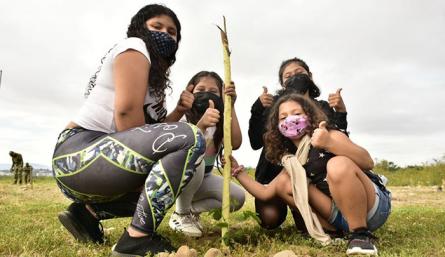 Siembra de árboles en Cúcuta.