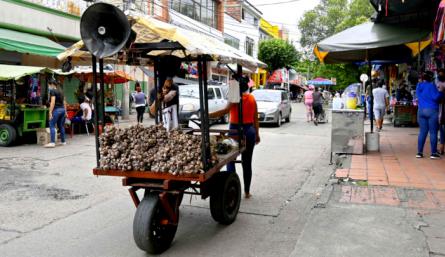 Carretas abundan en el centro de la ciudad.