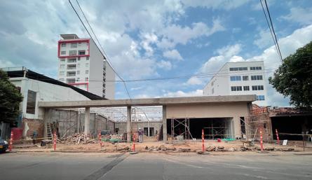 Tala de arboles en el barrio Caobos.