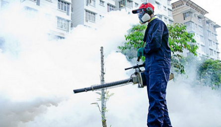 Los mayores casos de dengue se presentan en Cúcuta, Villa del Rosario, Los Patios y El Zulia. / Foto: Cortesía 