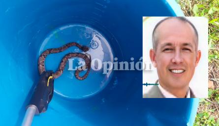 rpiente mapaná muerde a rector en su propio colegio
