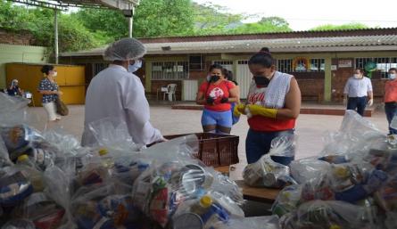 Juez municipal favorece tutela que ordena la implementación del PAE