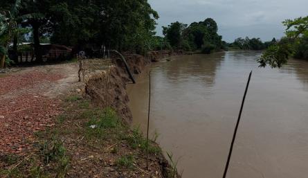 El río Pamplonita podría inundar fincas y destruir cultivos de arroz