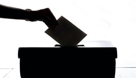 Elecciones / Foto: Cortesía