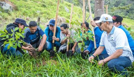 Reforestan cuenca de la quebrada La Mutis, en Los Patios/Foto cortesía