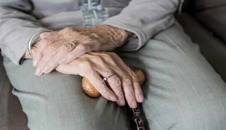 Pensiones vitalicias para los gestores culturales. / Foto: Cortesía / La Opinión 