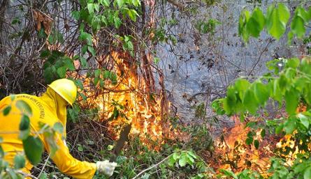 Bomberos de Cúcuta apagan un incendio forestal/Foto archivo