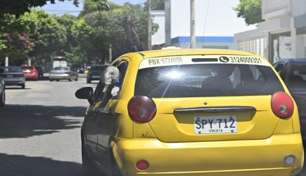 Conductores de la ciudad apoyan la creación de este acuerdo, señalando que los animales también son parte de la familia y merecen un trato digno. / Foto: Jorge Gutiérrez / La Opinión 