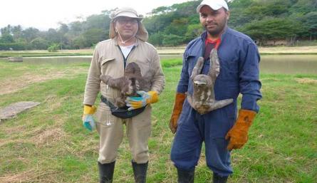 Guardianes de la fauna desamparada en Norte de Santander./Foto cortesía