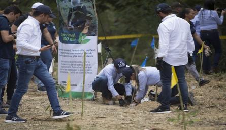 360 mil pulmones vegetales para Norte de Santander