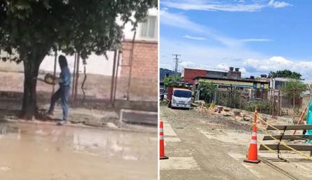 Cucuteños indignados por tala de árboles en Guaimaral./Foto: cortesía