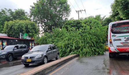 Cúcuta vivió fuerte aguacero y tomenta eléctrica esta madrugada