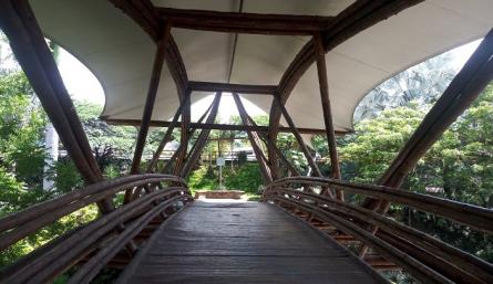 Puente de guaduas 