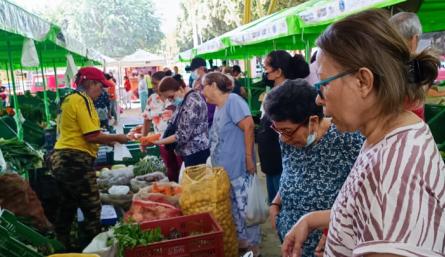 Mercado campesino en La ceiba registró más de 37 millones de pesos en ventas