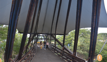 Puente de Guadua nuevo