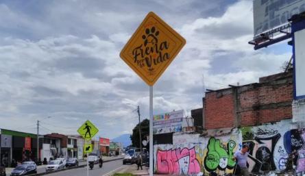 campaña de prevención vial animalista