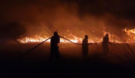 Incendio cerro Tasajero