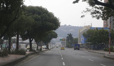 Día sin carro