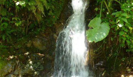 Hoy se celebra el Día Mundial del Agua./Foto Archivo