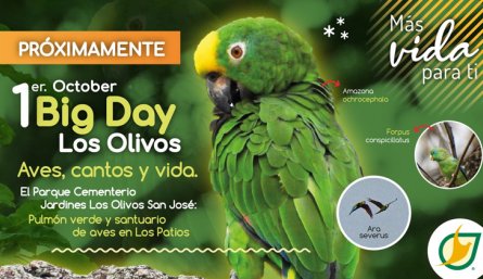 Parque Cementerio Jardines Los Olivos San José: pulmón verde y santuario de aves en Los Patios