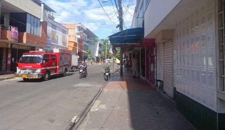 ATAQUE DE ABEJAS EN CÚCUTA 
