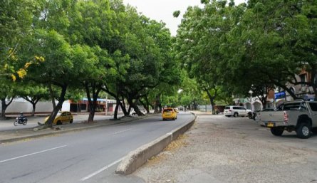 Avenida Los Libertadores - entrada Niza.
