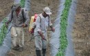 Fertilizantes. / Foto archivo
