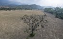 Se espera una fuerte sequía producto de la ausencia de lluvias./Foto Archivo