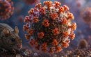 HANTAVIRUS 