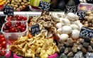 EXPORTACION DE ALIMENTOS 