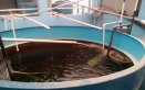 El intenso verano afecta duramente el corregimiento de Aguas Claras de Ocaña.