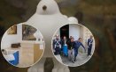 La Paloma de la Paz, de Fernando Botero, salió de la Casa de Nariño; este será su nuevo hogar