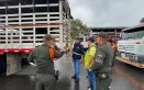 OPERATIVO CONJUNTO PERMITE INCAUTACIÓN DE 26 SEMOVIENTES Y FORTALECE EL CONTROL SANITARIO EN NORTE DE SANTANDER