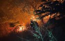 INCENDIOS EN TOLIMA 
