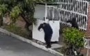 Ataque a vigilante, Bogotá