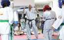Karate Kyokushin en Norte de Santander 