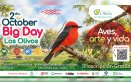 El Parque de Vida Los Olivos llega a 86 especies de aves registradas y se prepara para su segundo October Big Day