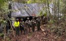 Destruyen complejo del Eln que producía cocaína en Sardinata