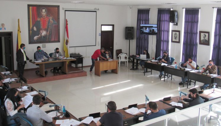 El Concejo de Pamplona estudia cuatro proyectos. / Foto: Cortesía