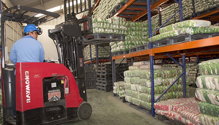 El plan se definió para no generar sobreoferta de arroz en el mercado / Foto Archivo La Opinión