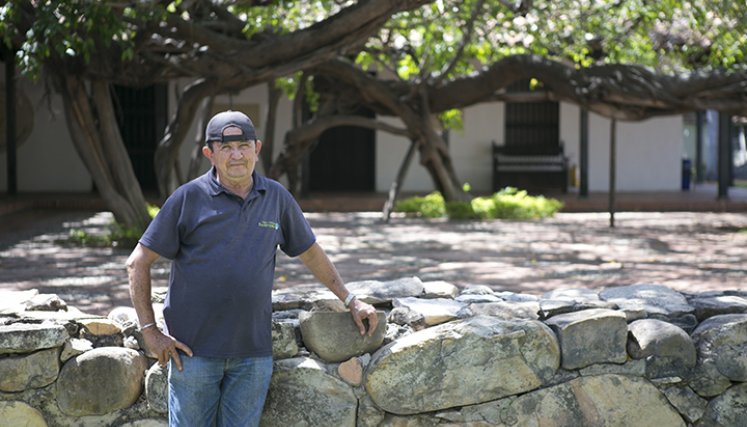 Francisco posa frente el imponente laurel hindú, conocido como el árbol caminante.