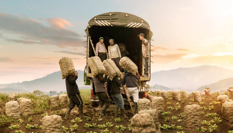 La compañía se embarcó este 2021 en un ambicioso proyecto de expandir su capacidad de producción para continuar desarrollando la categoría a partir del inigualable sabor de las papas cultivadas y cosechadas por manos campesinas colombianas. / Foto: Cortesía